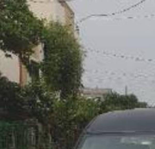 https://images10.gaadi.com/usedcar_image/3609244/original/processed_8dc5a7ec-9651-496b-8f42-5556957a7faa.jpg?imwidth=6400