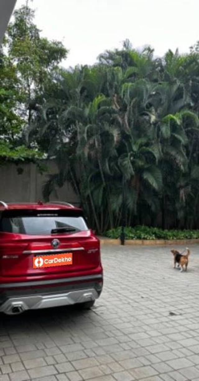 https://images10.gaadi.com/usedcar_image/3658173/original/processed_cbf16175-80ba-49c5-91cc-092e4eae6f97.jpeg?imwidth=6401