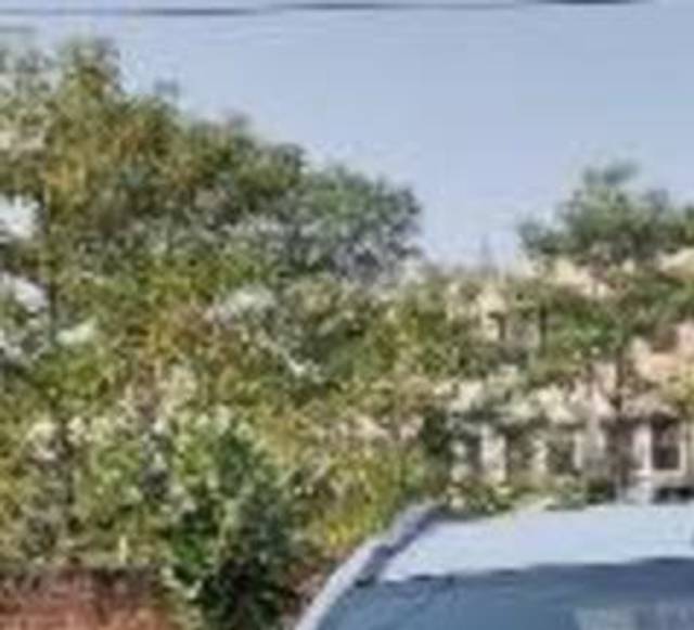 https://images10.gaadi.com/usedcar_image/3700290/original/processed_2d598997-b016-43a7-b744-b00225500e35.jpeg?imwidth=6400