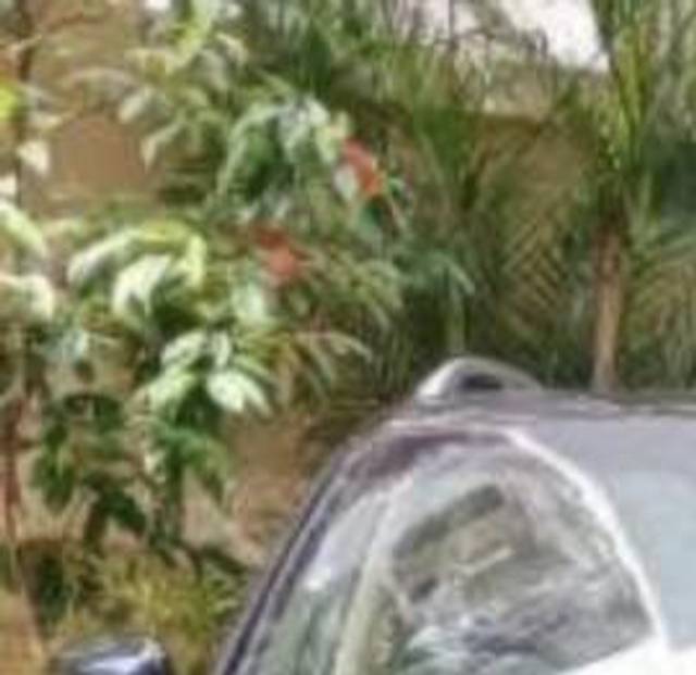 https://images10.gaadi.com/usedcar_image/4454808/original/processed_processed_421f57b9-2e60-4059-92df-df1fead307db.jpeg?imwidth=6400
