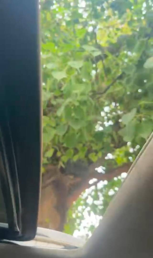 https://images10.gaadi.com/usedcar_image/4510129/original/7a5e17d2617dc9b41c65230d82d2276a.jpg?imwidth=6402