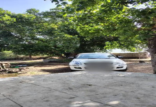https://images10.gaadi.com/usedcar_image/4544565/original/c554acf2-4808-47cf-b946-4c8fe4c471d4.?imwidth=6401