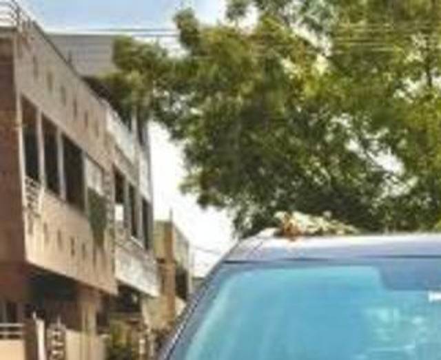 https://images10.gaadi.com/usedcar_image/4550220/original/processed_fa59ba2d-7684-40aa-bfde-7c55e217452d.jpeg?imwidth=6401