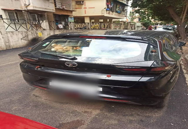 https://images10.gaadi.com/usedcar_image/4550350/original/fe2e81a3-9c17-4c7f-9906-a28d379b4fb0.?imwidth=6401