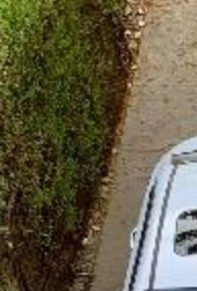 https://images10.gaadi.com/usedcar_image/4571516/original/processed_ba0239a2-781e-47bf-8ce0-8096e22f4835.jpeg?imwidth=6401