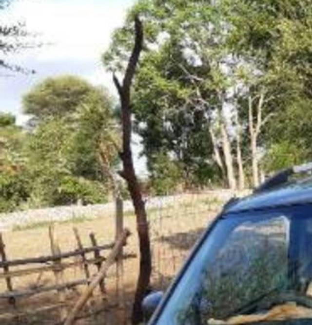 https://images10.gaadi.com/usedcar_image/4582528/original/processed_42c80483-9373-4098-9846-88ff98187a83.jpg?imwidth=6400