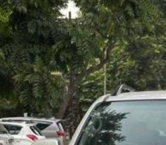 https://images10.gaadi.com/usedcar_image/4585194/original/processed_44e0b803-4985-40a0-8cb4-8c4d3a4db7db.jpeg?imwidth=6400