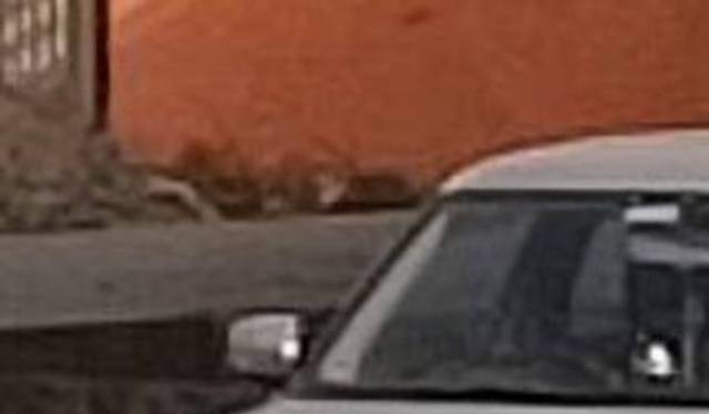 https://images10.gaadi.com/usedcar_image/4592907/original/processed_6eb98f5c-7ba2-427b-a26d-75603258c2ce.jpg?imwidth=6400