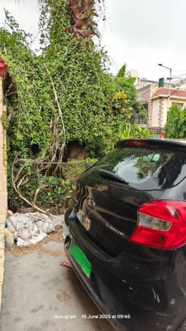 https://images10.gaadi.com/usedcar_image/4597604/original/processed_6609321a-dd1d-4453-94b5-cea3bd30907d.jpg?imwidth=6402