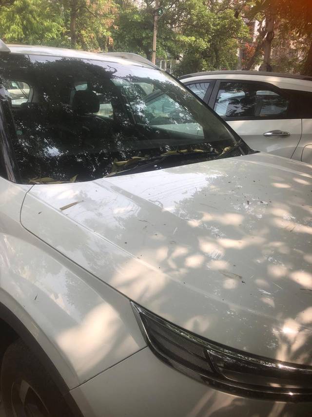 https://images10.gaadi.com/usedcar_image/4607334/original/cc9518771afd60d1ccf17f0a38476ce9.jpg?imwidth=6400