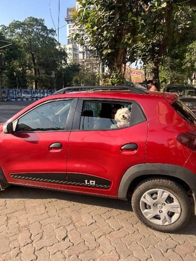 https://images10.gaadi.com/usedcar_image/4626853/original/processed_fdda96d1-f8f0-4522-9102-79e0d11db460.jpeg?imwidth=6401