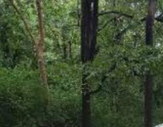 Second-hand 2024 Hyundai Aura SX CNG for sale in Hubli