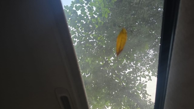 Kia Sonet HTX Diesel BSVI Second-hand 2021 Kia Sonet HTX Diesel BSVI for sale in Nagpur-11