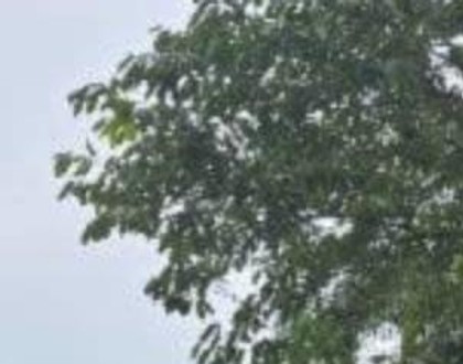 Second-hand 2024 Tata Nexon Smart for sale in Dhemaji