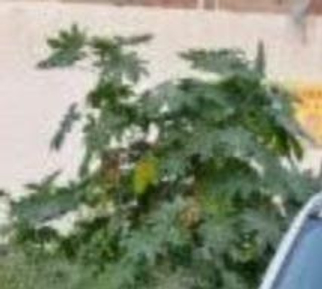 Second-hand 2017 Mahindra XUV500 R W10 FWD for sale in Sikandrabad-2