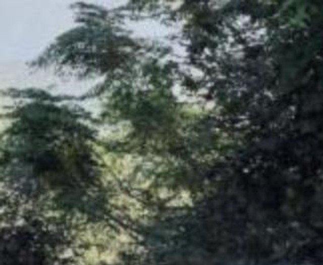 Second-hand 2020 Mahindra Bolero B6 BSVI for sale in Jammu-1