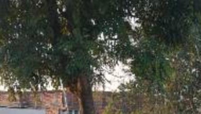 Second-hand 2024 Toyota Glanza V for sale in Una-4