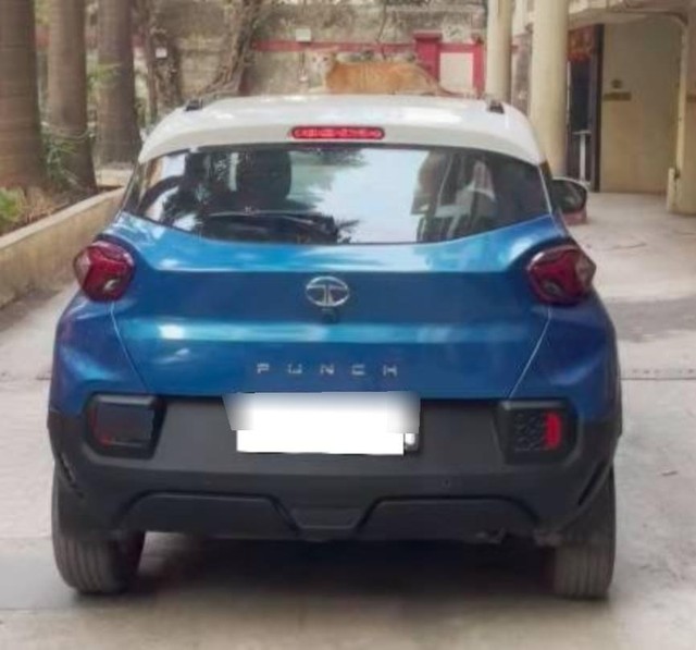 Second-hand 2022 Tata Punch Creative DT BSVI for sale in Mumbai-3