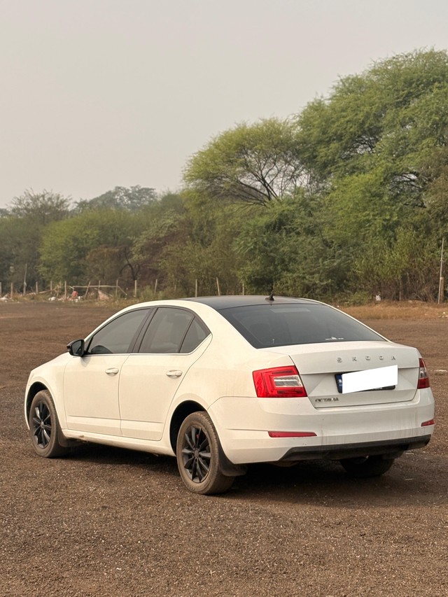 Second-hand 2017 Skoda Octavia Style Plus 2.0 TDI AT for sale in Raipur-3
