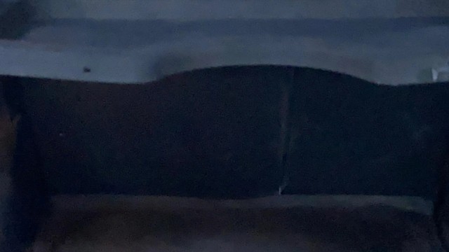 Tata Nexon XZ Plus DualTone Roof Second-hand 2021 Tata Nexon XZ Plus DualTone Roof for sale in Surat-21