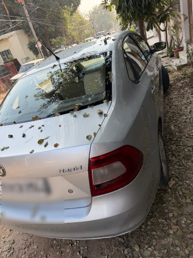 Second-hand 2013 Skoda Rapid 1.6 TDI Elegance Plus for sale in Jaipur-1