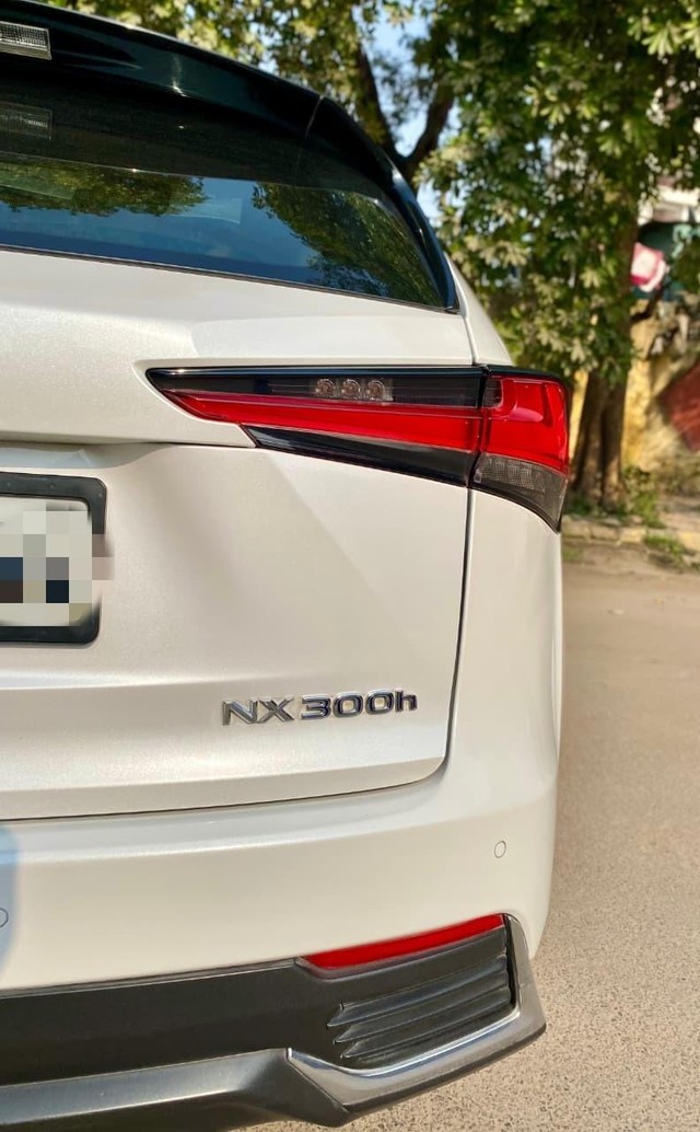 Second-hand 2018 Lexus NX 300h for sale in New Delhi-14