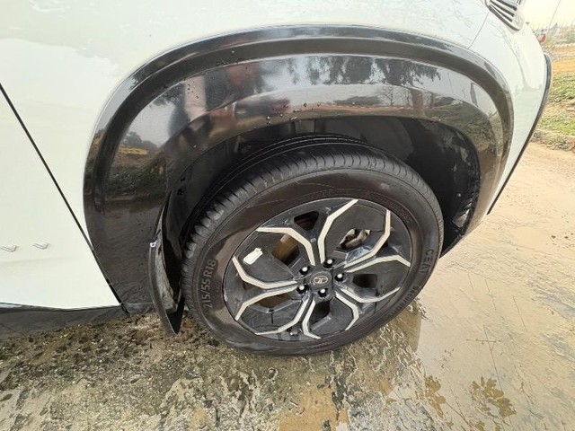 Second-hand 2025 Tata Curvv Accomplished S Diesel for sale in Purnia-5