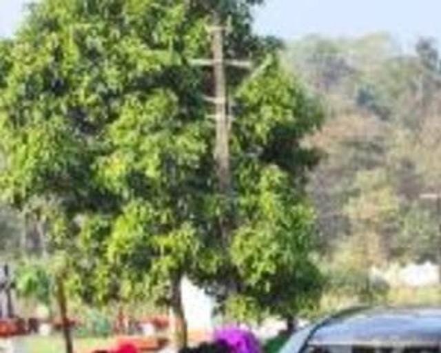 Second-hand 2014 Toyota Etios Liva G for sale in Goa-1