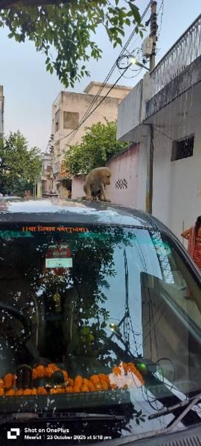 Second-hand 2013 Hyundai Santro Xing GLS for sale in Faridabad-1