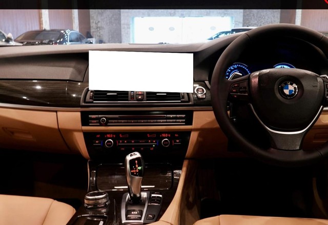 BMW 5 Series 520i Luxury Line Second-hand 2016 BMW 5 Series 520i Luxury Line for sale in New Delhi-0