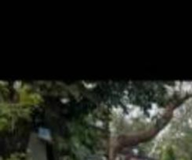 Second-hand 2023 Maruti Suzuki Grand Vitara Delta CNG BSVI for sale in Ratlam-2