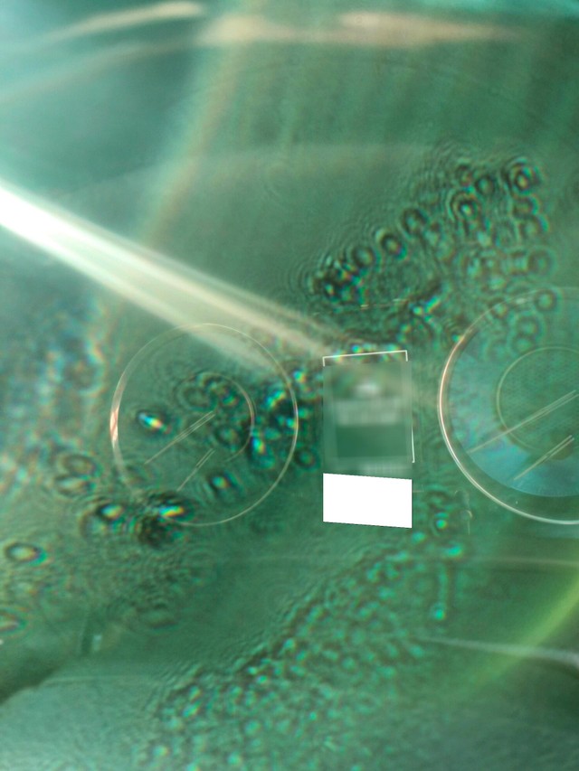 Toyota Fortuner 4X2 Diesel AT Second-hand 2023 Toyota Fortuner 4X2 Diesel AT for sale in Jaipur-6