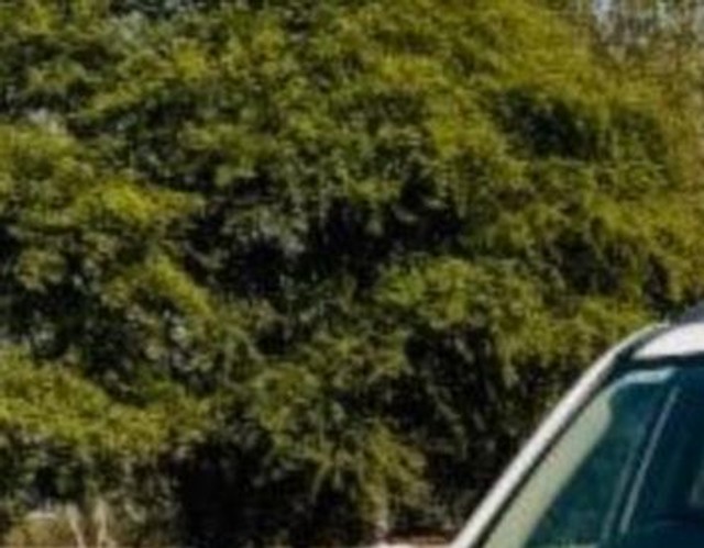 Mahindra XUV500 W6 2WD Second-hand 2017 Mahindra XUV500 W6 2WD for sale in Ujjain-11