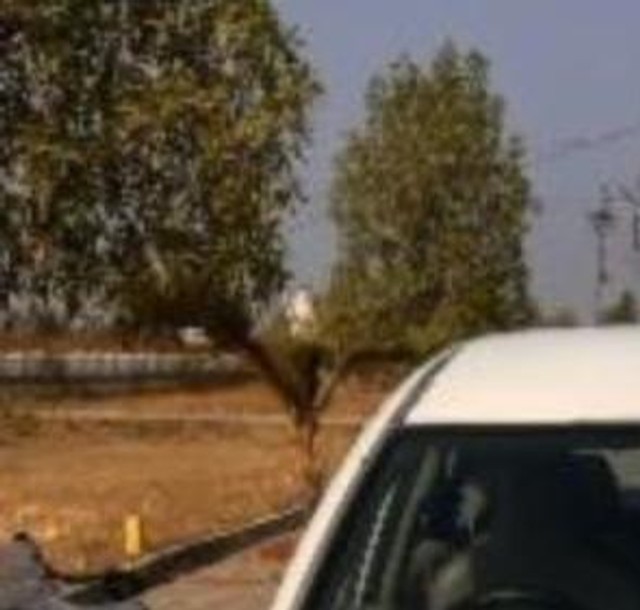 Second-hand 2015 Honda Mobilio S i-DTEC for sale in Wardha-7