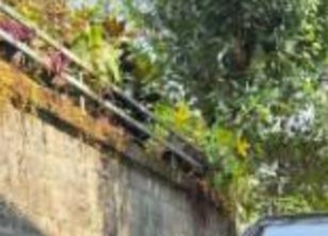 Second-hand 2023 Maruti Suzuki Swift ZXI for sale in Perinthalmanna-3