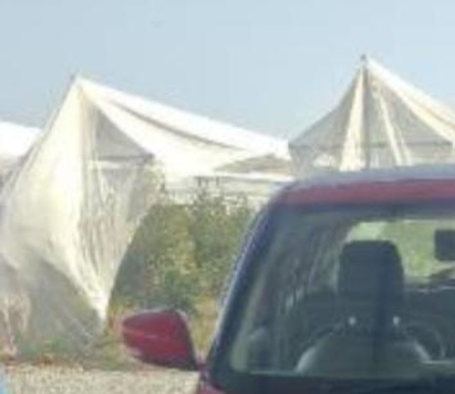 Second-hand 2019 Maruti Suzuki Swift ZDI for sale in Pali-3