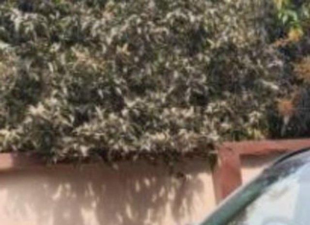 Tata Curvv Creative Plus S Second-hand 2025 Tata Curvv Creative Plus S for sale in Angul-3