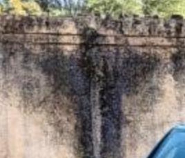 Renault KWID RXL BSIV Second-hand 2020 Renault KWID RXL BSIV for sale in Sri Madhopur-0