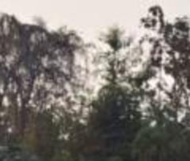 Second-hand 2021 Tata Nexon XM BSVI for sale in Raipur-2