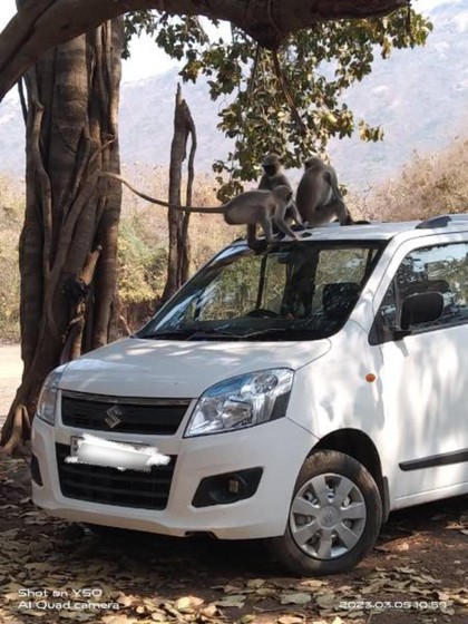 Second-hand 2013 Maruti Suzuki Wagon R LXI BS IV for sale in Junagadh