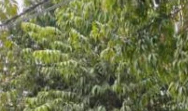 Second-hand 2012 Toyota Innova 2.5 GX (Diesel) 8 Seater BS IV for sale in Jabalpur-1