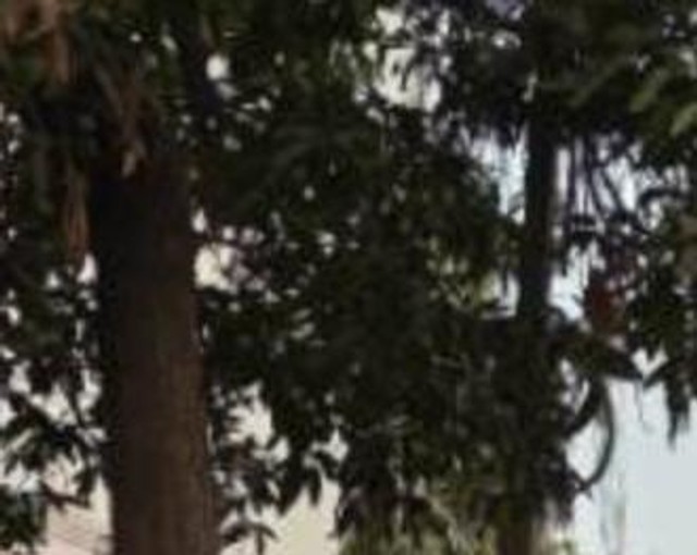 Second-hand 2012 Toyota Innova 2.5 GX (Diesel) 8 Seater BS IV for sale in Jabalpur-2