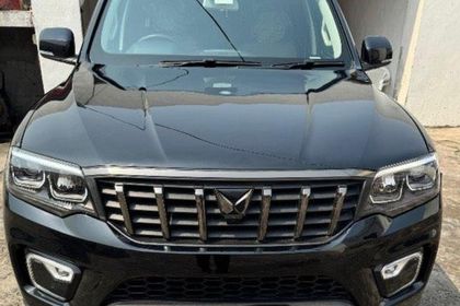 Used Z8L Diesel AT 2023-2025