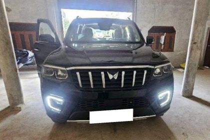Used Z8L 6 Str 2023-2025