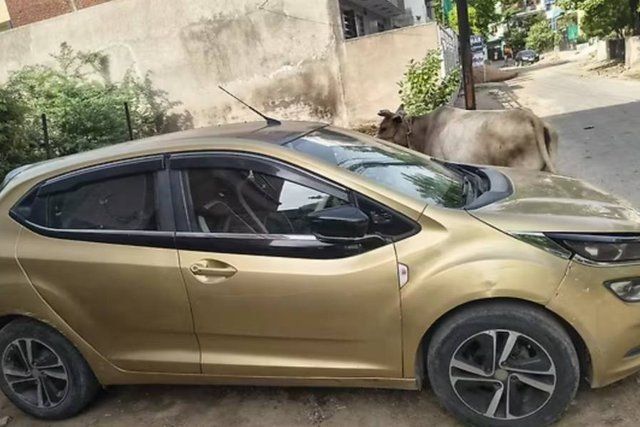Tata Altroz XZ Option Second-hand 2020 Tata Altroz XZ Option for sale in Kanpur