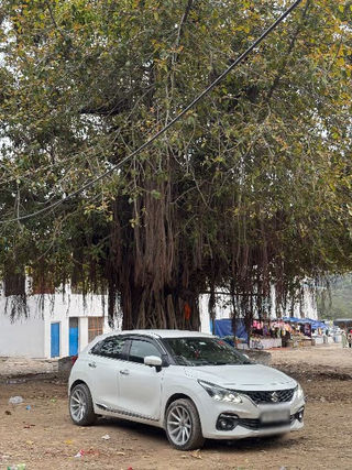 Used Maruti Baleno Alpha BSVI