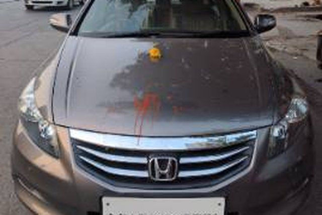 Honda New Accord 2.4 A/T Second-hand 2011 Honda New Accord 2.4 A/T for sale in Gurgaon