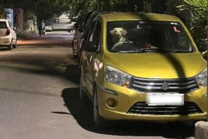 7 Used Maruti Suzuki Celerio in Raichur