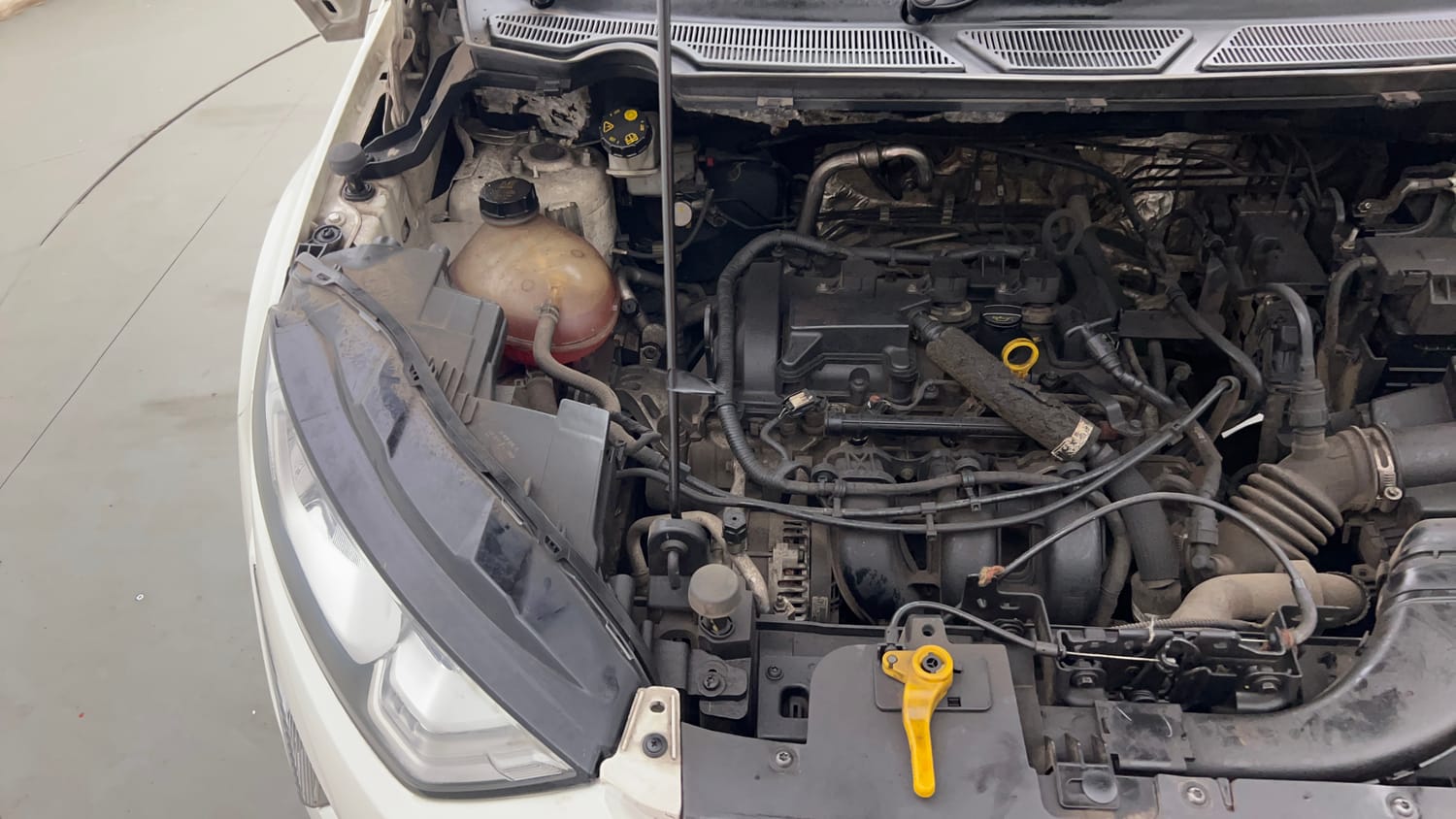 Image Used Car