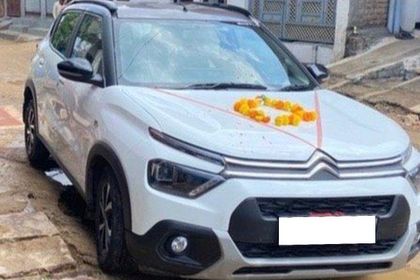 Used Shine DT